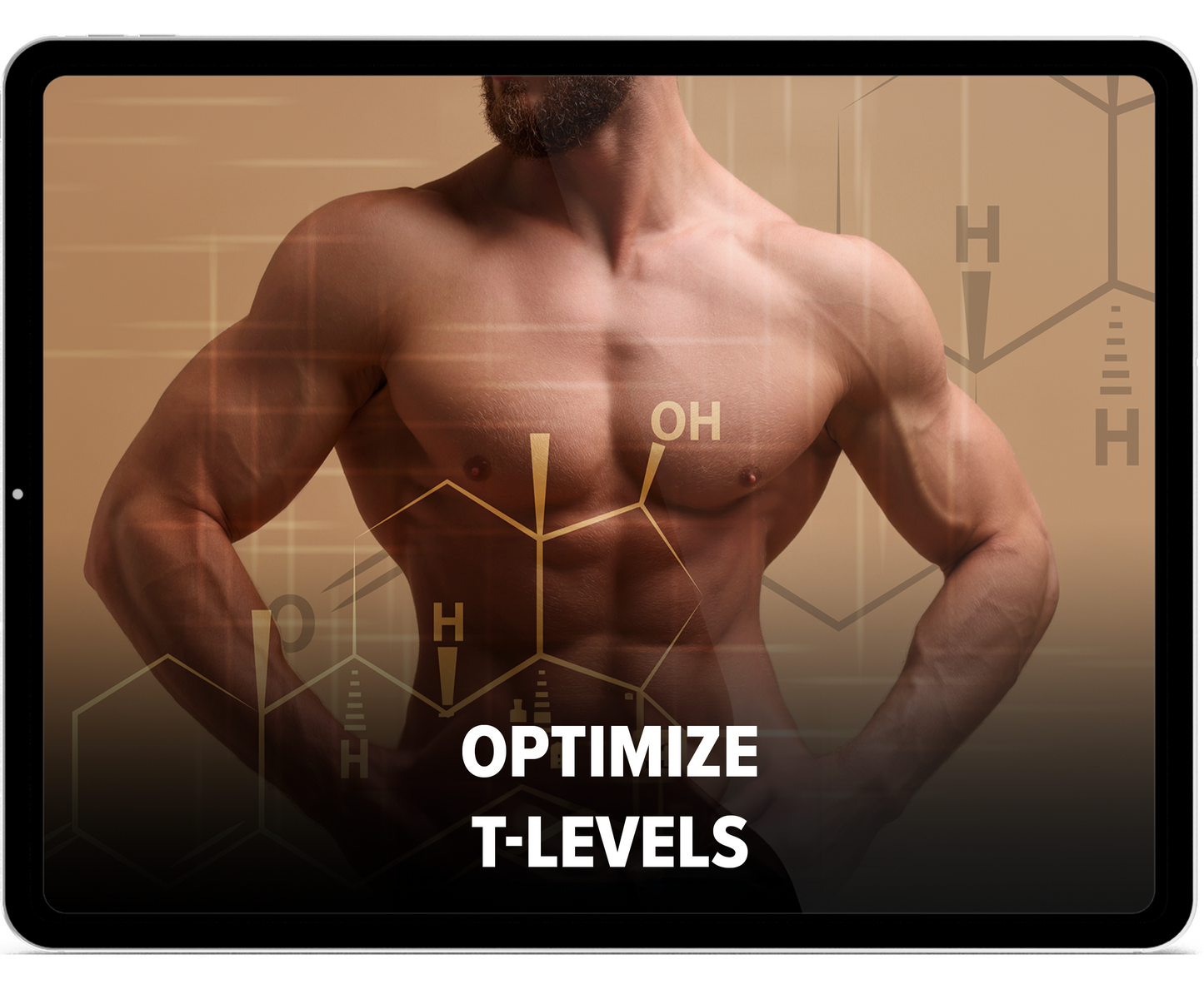 Testosteron Optimierung Videokurs